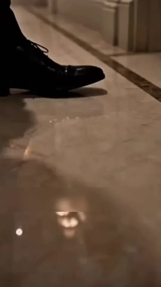 Parte 01 de A Noiva por Contrato do Don da Máfia