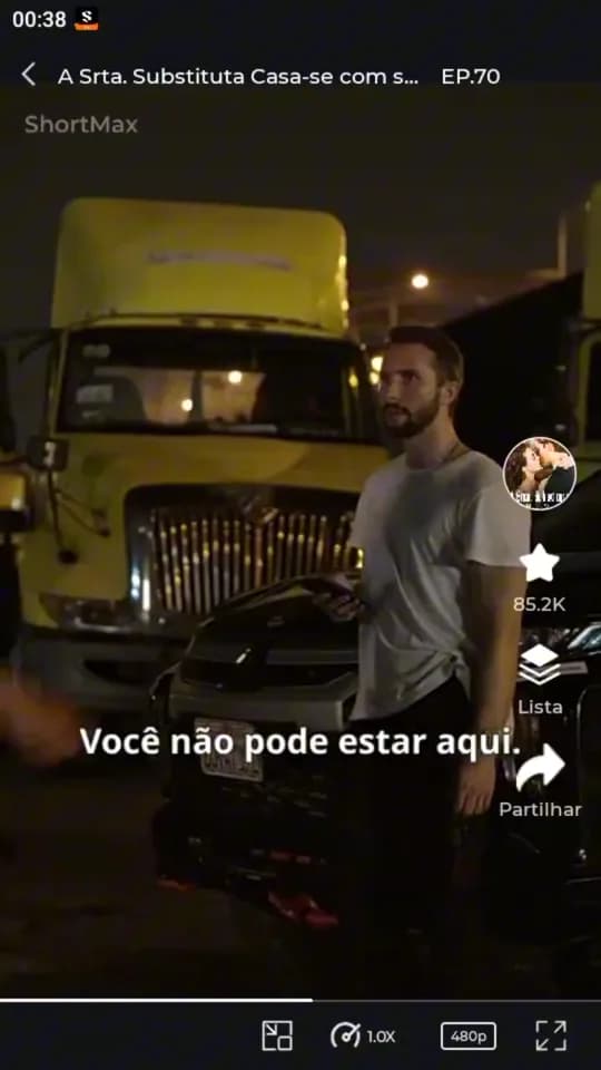 Parte 16 de A Srta. Substituta Casa-se com seu Sr. Certo.