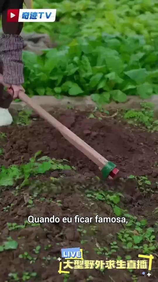 Parte 33 de Amigas Contra o Destino 3