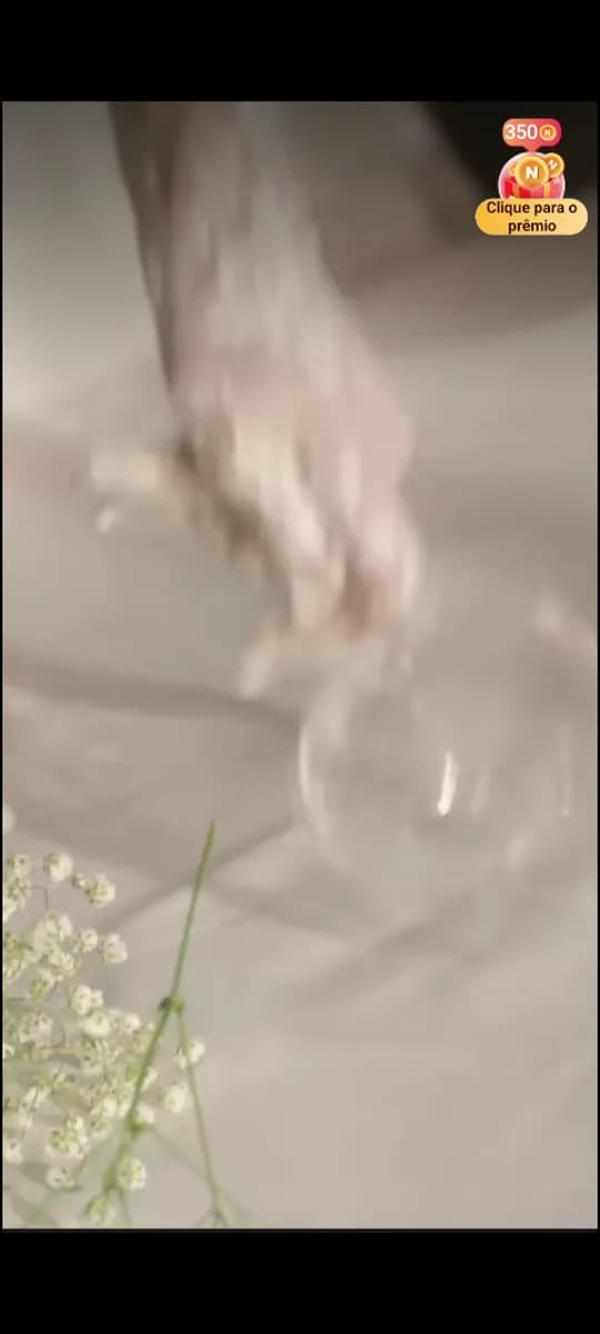 Parte 05 de Troquei o Noivo no Altar